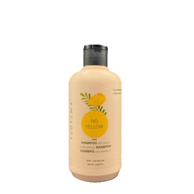 COLOR CONTROL SILVER SHAMPOO 250ml